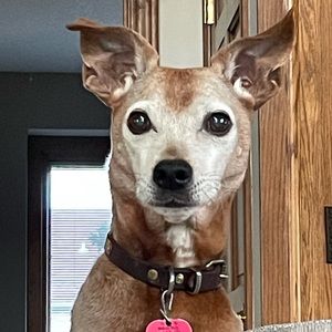 Meet your Posher, Kim